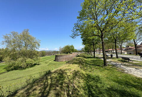 Alle Mura: Boom, Gras, Afdeling, Grasland, Plain, Land Lot, Groundcover, Weide, Tuin, Gazon