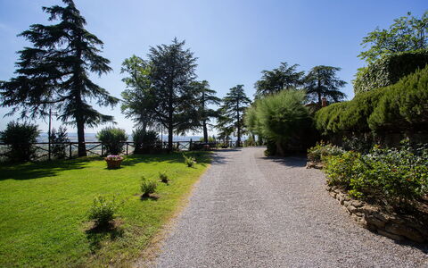 Villa i Cocciai: Boom, Natuur, Vegetation, Natuurlijke Omgeving, Lucht, Gras, Wildernis, Tuin, Plantkunde, Weg