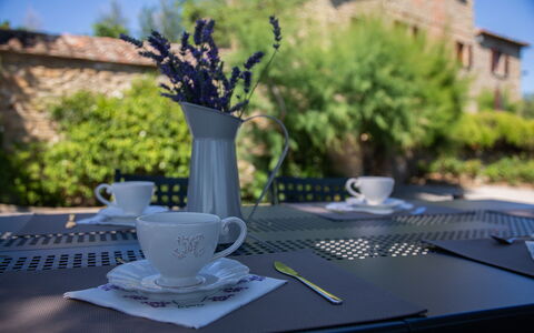 Villa i Cocciai: Tafel, Kop, Drinkware, Boom, Tableware, Koffiekop, Fabriek, Serveware, Tafelkleed, Theekopje