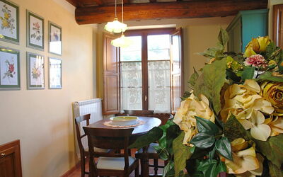 Accommodatie:&nbsp;Collodi