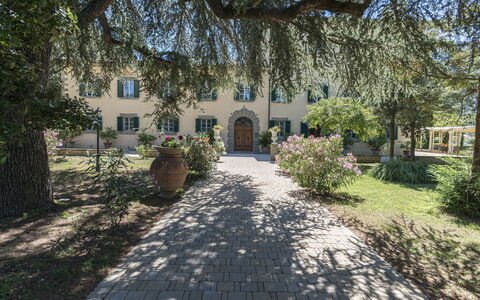 Villa Ivana - Cortona: Eigendom, Huis, Gebouw, Boom, Landgoed, Onroerend Goed, Huis, Architectuur, Lucht, Woongebied