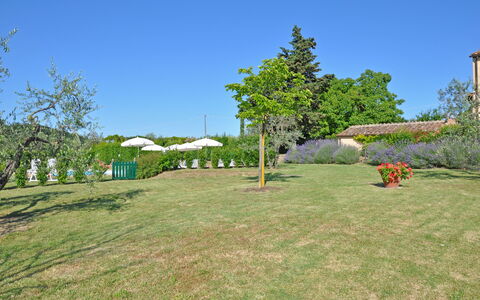 I Glicini: Eigendom, Land Lot, Gras, Onroerend Goed, Grasland, Boom, Huis, Grassenfamilie, Gazon, Werf