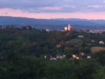 Agli Olivi