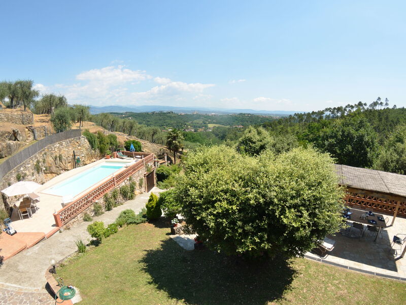 Agli Olivi