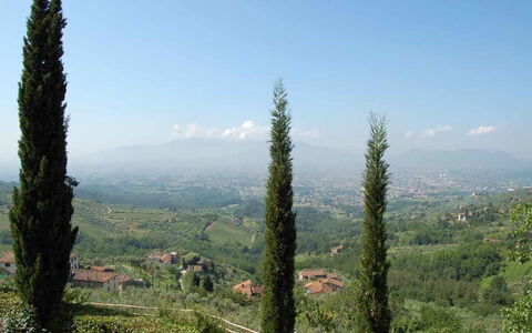 Borgo Antico Paolo: Boom, Heuvel Station, Vegetation, Tropische En Subtropische Naaldbossen, Wildernis, Biome, Fabriek, Plantengemeenschap, Woud, Berg