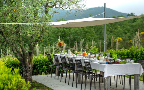 Borgo Gerlino: Paraplu, Tafel, Buitentafel, Tuin, Werf, Meubilair, Gras, Backyard, Patio, Gazon