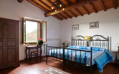 Accommodatie:&nbsp;Luigi