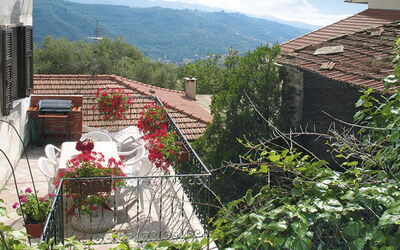 Agnese (Dol235)