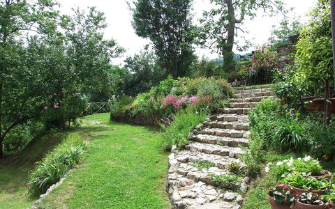 Bottino: Tuin, Vegetation, Botanische Tuin, Natuurlijk Landschap, Eigendom, Fabriek, Werf, Boom, Plantkunde, Gras