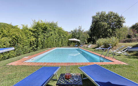 Casa Rosa: Zwembad, Eigendom, Gras, Vrije Tijd, Onroerend Goed, Boom, Huis, Backyard, Huis, Landgoed