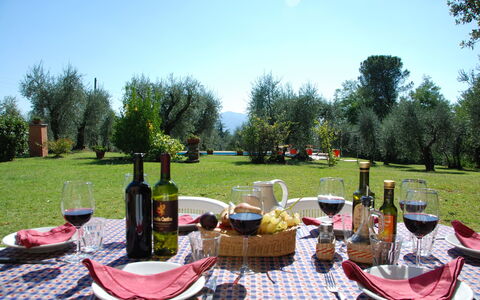 Casa Tonio: Maaltijd, Picknick, Evenement, Recreatie, Tafel, Fotografie, Tafelkleed, Linens, Landschap, Restaurant