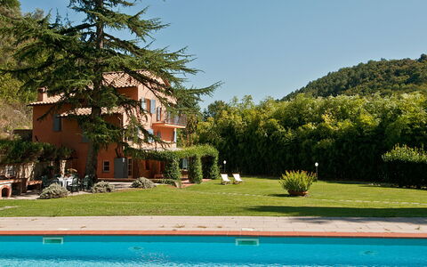 La Damigella