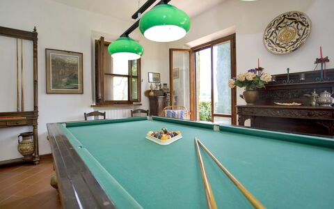 La Fonte: Biljartkamer, Biljarttafel, Pool, Kamer, Recreatie Ruimte, Spellen, Engels Biljart, Eigendom, Meubilair, Tafel