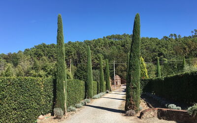 La Flora