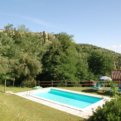 Magrini