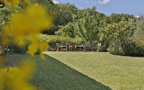 Ricavoli: Natuur, Natuurlijk Landschap, Geel, Eigendom, Tuin, Gras, Boom, Plantkunde, Gazon, Landschap