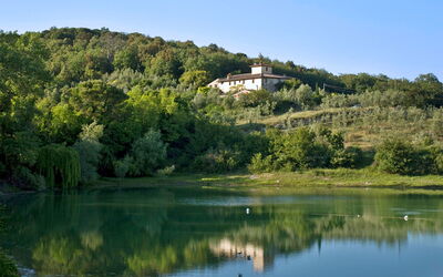 Ricavoli