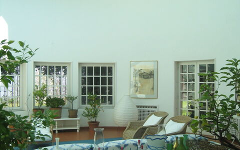 Villa Adriana: Groen, Kamer, Eigendom, Gebouw, Interieur Ontwerp, Huis, Daylighting, Plafond, Meubilair, Architectuur