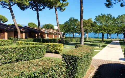 Desenzano 617: Fabriek, Lucht, Boom, Vegetation, Land Lot, Gras, Schaduw, Stedelijk Ontwerp, Vrije Tijd, Haag