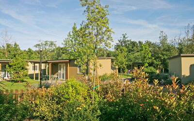 Accommodatie:&nbsp;Camping Europa 651.5