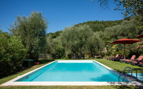 Villa Igea 13: Water, Lucht, Fabriek, Eigendom, Zwembad, Schaduw, Boom, Natuurlijk Landschap, Rechthoek, Landschap