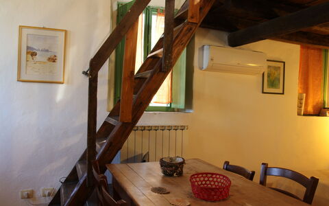 Accommodatie:&nbsp;Demetra 603.3