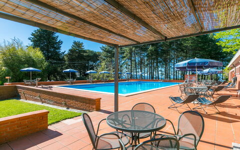 Accommodatie:&nbsp;San Vivaldo 612.2