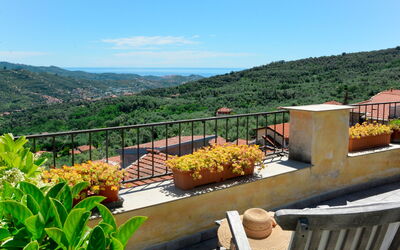 Bella Vista (Dol284)