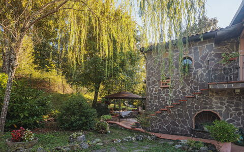 Grande Quercia: Fabriek, Blad, Natuurlijk Landschap, Boom, Gebouw, Lucht, Zonlicht, Gras, Land Lot, Venster