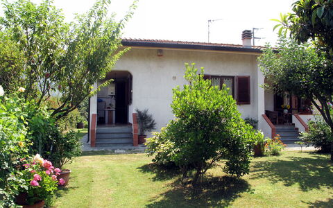 Emilia: Huis, Struik, Tuin, Woongebied, Huis, Gazon, Groundcover, Deur, Backyard