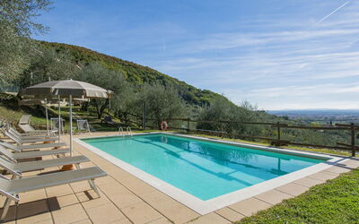 Francesco - Pieve a Nievole, Toscane, Italië