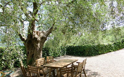 Podere Par Di Rota