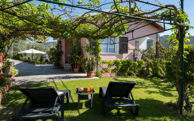 Accommodatie:&nbsp;Villa Paradiso (Dol190) 664.1