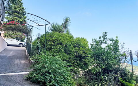 Pietra Ligure 612: Vegetation, Struik, Woody Plant, Tuin, Schaduw, Landscaping, Oprit, Gang, Pad