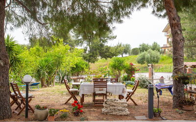 Accommodatie:&nbsp;Michela 636.1