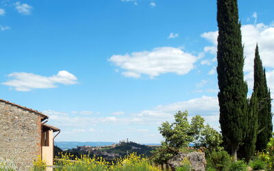 Accommodatie:&nbsp;Fattoria di Fugnano 647.2