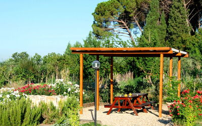 Accommodatie:&nbsp;Frantoio Delle Grazie 644.1