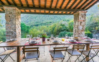 Accommodatie:&nbsp;Podere Salcerini 609.5