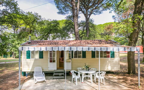 Accommodatie:&nbsp;Belvedere Pineta Camping Village 653.3