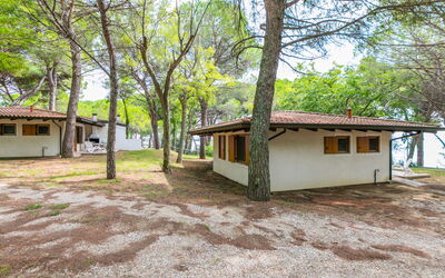 Accommodatie:&nbsp;Belvedere Pineta Camping Village 653.2