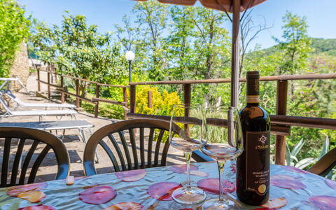 Vittorio: Tafel, Tableware, Eigendom, Meubilair, Lucht, Drinkware, Stoel, Fles, Natuur, Boom