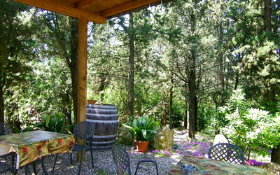 Accommodatie:&nbsp;Alle Vacche 694.1