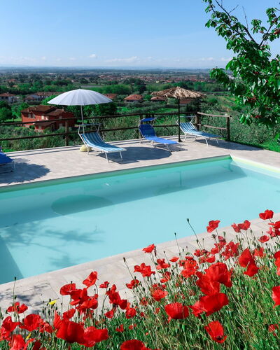 Agrumi: Water, Bloem, Fabriek, Lucht, Eigendom, Natuur, Azure, Zwembad, Boom, Petal