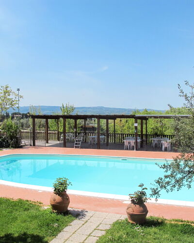 Giuggiolo (Cet124) 653.5