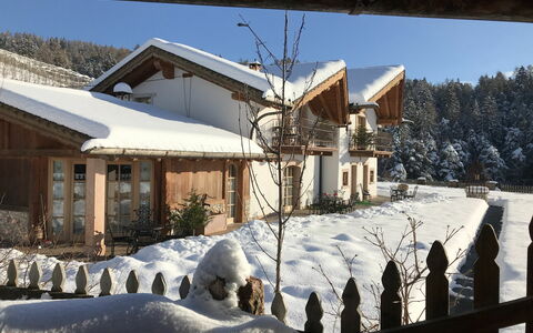 Valle di Non 650