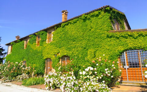 Villa Venanzo: Eigendom, Huis, Groen, Vegetation, Muur, Gebouw, Verblijf, Struik, Fabriek, Landelijk Gebied