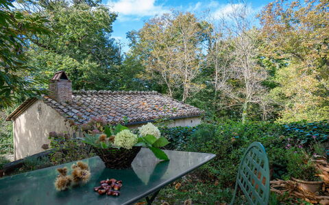 Casa Di Lilli: Blad, Natuur, Vegetation, Afdeling, Struik, Plantengemeenschap, De Lente, Tuin, Groundcover, Takje