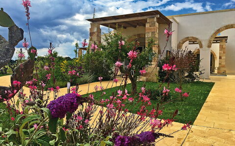 Tenuta Vigna Corallo: Bloem, Tuin, Fabriek, Eigendom, Werf, Huis, Lucht, Huis, Woongebied, Plantkunde