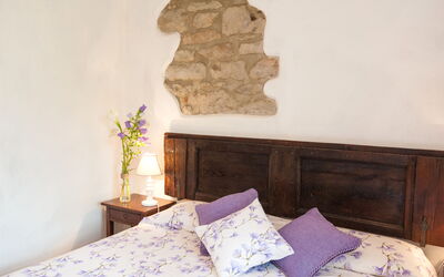 Accommodatie:&nbsp;Tabaccaia