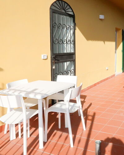 Il Gatto (Snm102) 618.2